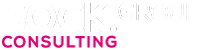 SOCK CONSULTING GROUP